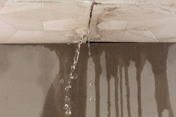 Professional Structural Drying technician working in Glendale, CA
